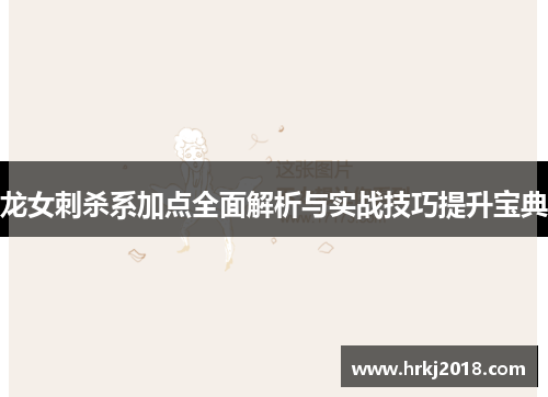 龙女刺杀系加点全面解析与实战技巧提升宝典